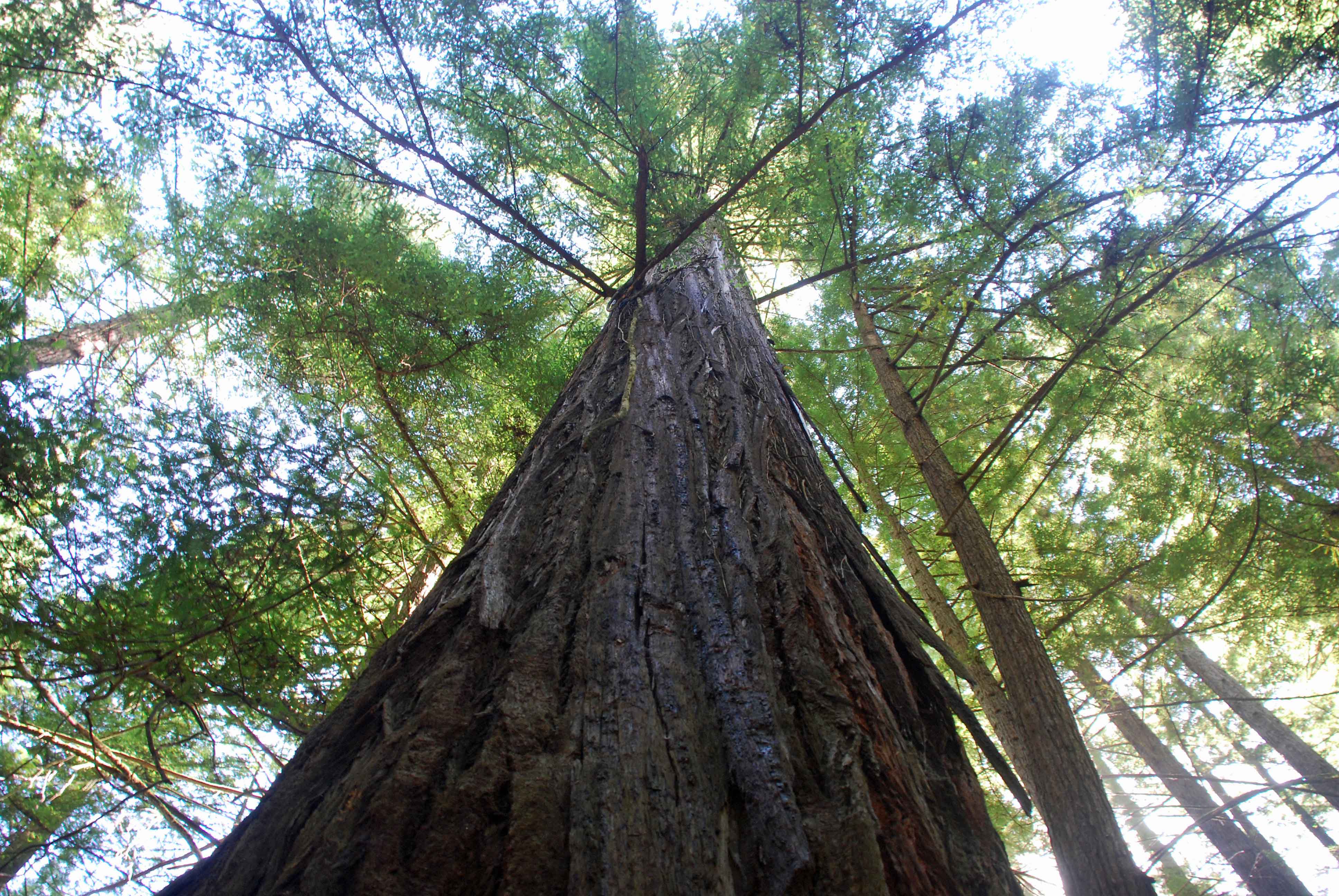 洋楽 Unfinished Business / Redwood Landing 1180 Main in Redwood City is the 2022 Structures honoree for Best