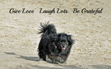 Give Love Laugh Lots Be Grateful
