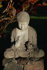 Contemplative Buddha