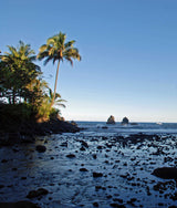 Hawaiin Beach At Low Tide