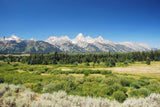 Aluminum Wall Art Grand Tetons