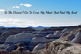 The Painted Desert