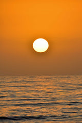 Vertical Orange Sunset