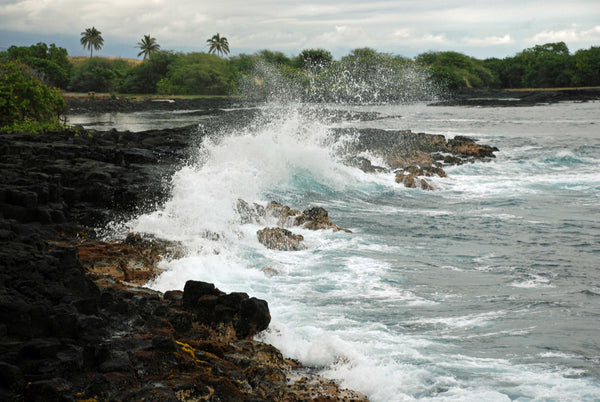 Crashing Wave, Hawaii