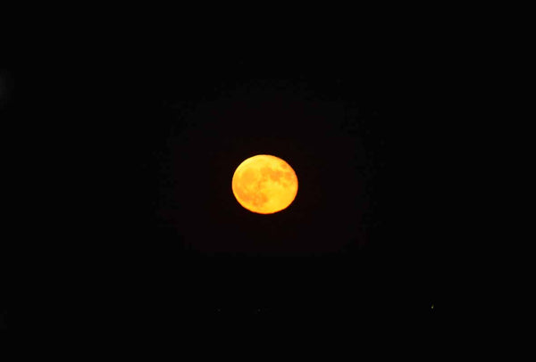 Golden Full Moon On A Dark Night Sky