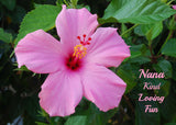Aluminum Wall Art Hibiscus Flower