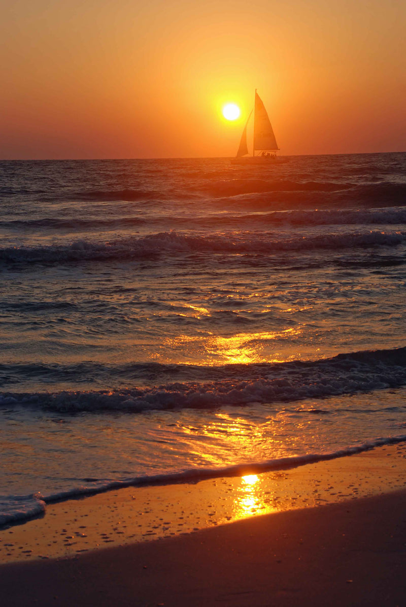 Vertical Photo of Sailing At Sunset