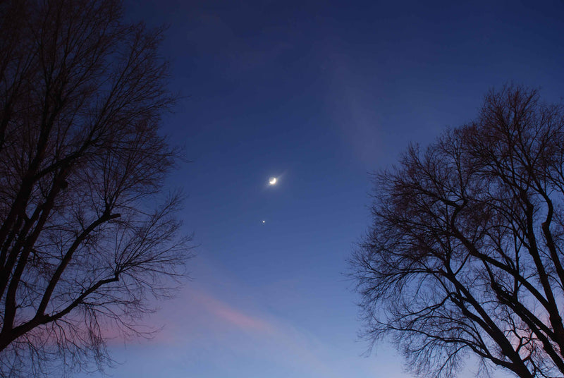 The Moon And Venus At Twilight