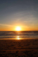 Vertical Beach Sunset